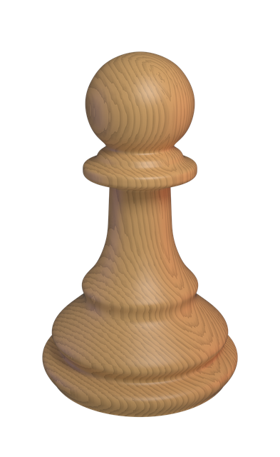 chess pawn photo